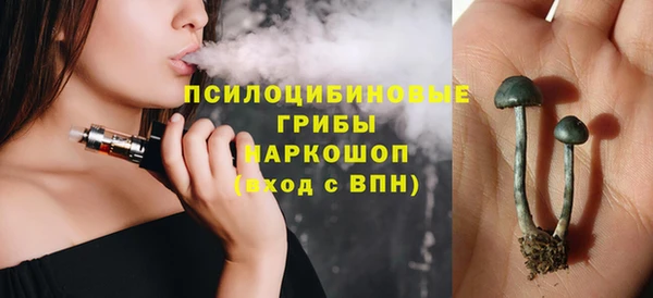 МДПВ Абинск