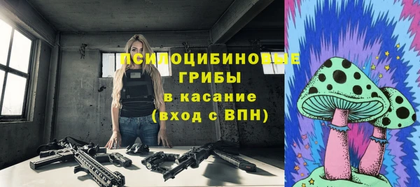 гашик Абаза