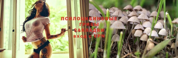МДПВ Абинск
