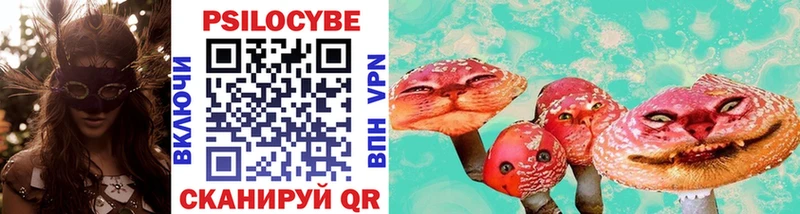 Псилоцибиновые грибы прущие грибы  Зея 